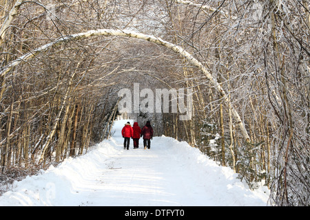 Locals walking down a wooded road during the Ice storm in Valcourt, Quebec Stock Photo