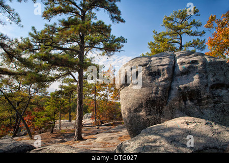 Pickle Springs Natural Area - Dome Rock in Missouri Stock Photo