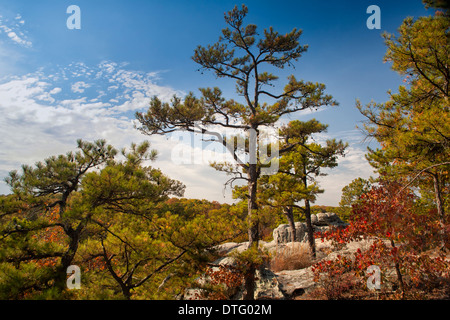 Pickle Springs Natural Area - Dome Rock in Missouri Stock Photo