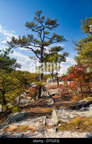 Pickle Springs Natural Area - Dome Rock in Missouri Stock Photo