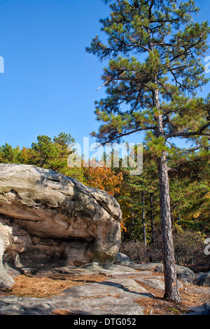 Pickle Springs Natural Area - Dome Rock in Missouri Stock Photo