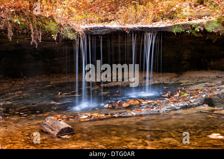 Pickle Springs Natural Area - Pickle Springs Stock Photo