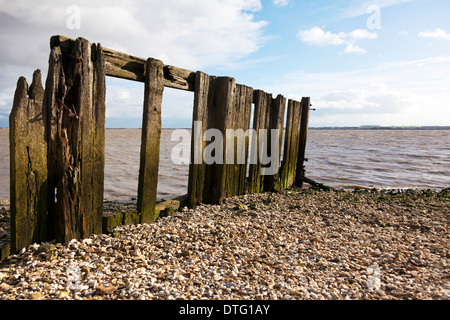 groynes defences Humber river protection flood flooding Kingston Upon hull East Riding East Yorkshire, England, UK GB Hull sea Stock Photo