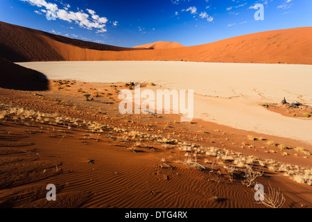 Dry cracked desert mud pattern colored white by salt from ancient lake bed surrounded by high red dunes in Namib-Naukluft National Park Stock Photo