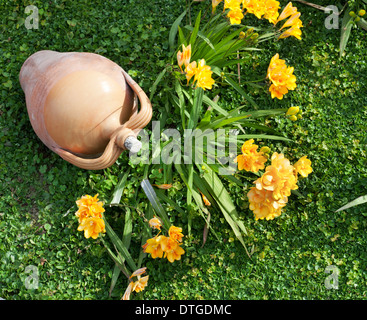 Beautiful yellow freesia in the garden Stock Photo