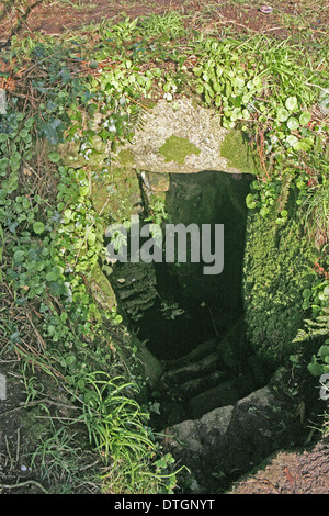 Sancreed holy well Cornwall Stock Photo