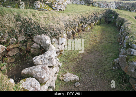 Carn Euny ancient village and archeological site, near Sancreed  Penwith Cornwall Stock Photo