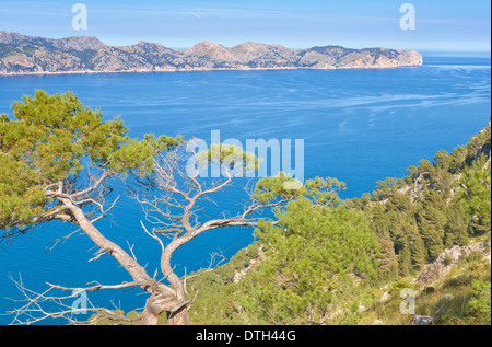 Formentor peninsula and Pollensa harbour in Spring. View from La Victoria, Alcúdia area. Majorca, Balearic islands, Spain Stock Photo