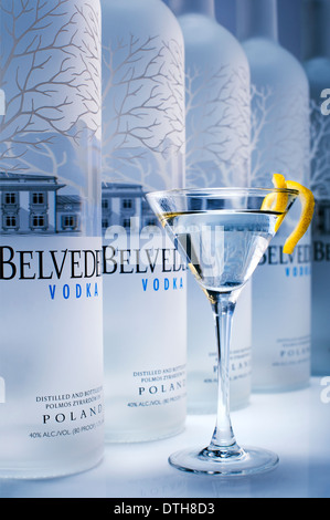 Belvedere Vodka Celebrates Spectre Partnership - Red Carpet Arrivals  Featuring: Estelle Where: New York City, New York, United States When: 09  Sep 2015 Stock Photo - Alamy