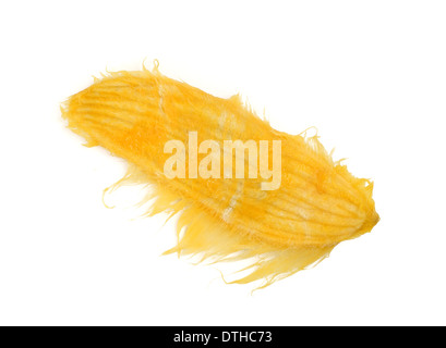 Mango seed Stock Photo