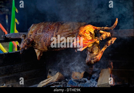 Lamb roasted whole on a spit over open fire in medieval setting Stock Photo