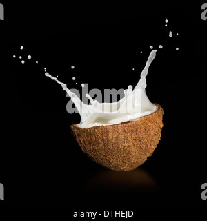 Coconuts with milk splash on black background Stock Photo