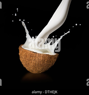 Coconuts with milk splash on black background Stock Photo