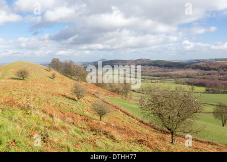 Looking across north Shropshire towards the Wrekin from the Lawley near Church Stretton, Shropshire, England, UK Stock Photo