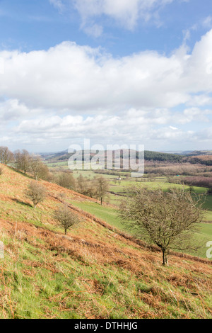 Looking across north Shropshire towards the Wrekin from the Lawley near Church Stretton, Shropshire, England, UK Stock Photo