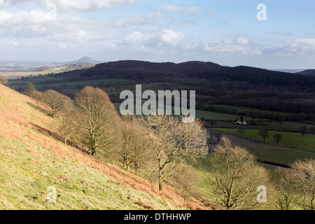 Looking across north Shropshire towards the Wrekin from the Lawley near Church Stretton, Shropshire, England, UK Stock Photo