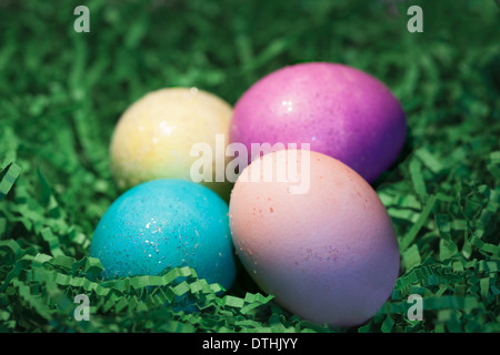 Colored Easter eggs in Easter grass. Stock Photo