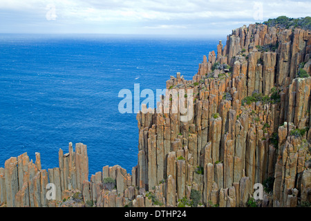 Dolerite columns on Cape Raoul, Tasman Peninsula Stock Photo