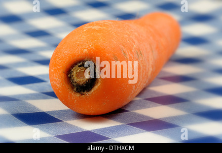 one whole raw carrot on a blue gingham background Stock Photo