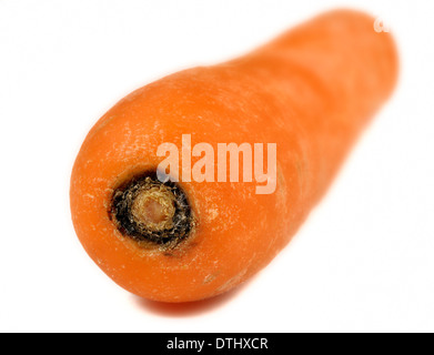one whole raw carrot on a white background Stock Photo