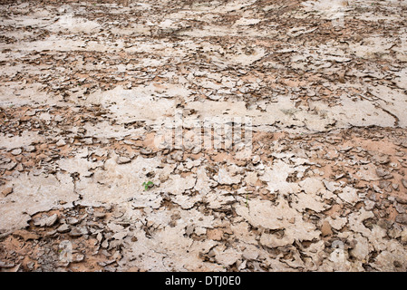 Dried up river bed in India Stock Photo