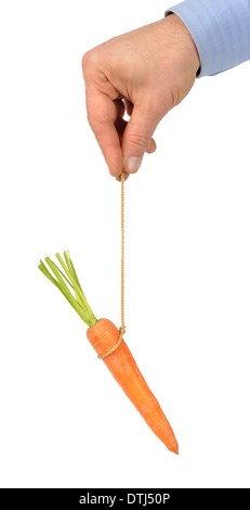 Carrot on String Stock Photo