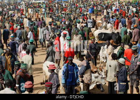 Uganda Karamoja Kotido, Karimojong people, pastoral tribe, cattle market Stock Photo