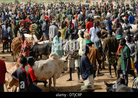 Uganda Karamoja Kotido, Karimojong people, pastoral tribe, cattle market Stock Photo