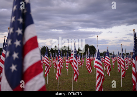 US Flags in Mitchell, SD Stock Photo