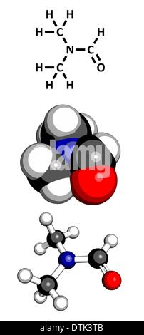 dimethylformamide (DMF) solvent molecule. Commonly used solvent in chemistry. Stock Photo