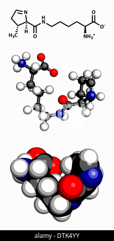 Pyrrolysine (l-pyrrolysine, Pyl, O) amino acid molecule. 3D rendering ...