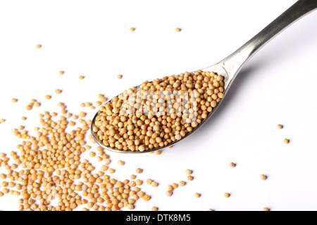 Whole mustard seed on spoon Stock Photo