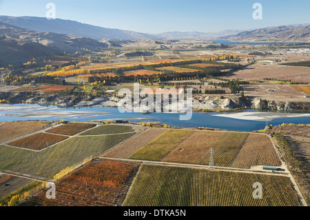 Vineyards, Bannockburn, Lake Dunstan, and Orchards, Ripponvale, near Cromwell, Central Otago, South Island, New Zealand - aerial Stock Photo