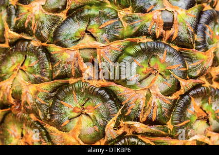 Peel of pineapple Stock Photo