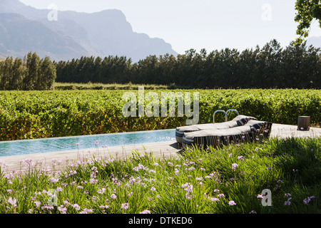 Lounge chairs by luxury lap pool among garden and vineyard Stock Photo