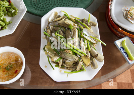 Razor fish Stock Photo