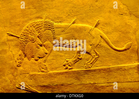 Assyrian Lion Hunt Relief Wall Art at the British Museum, London, England Stock Photo