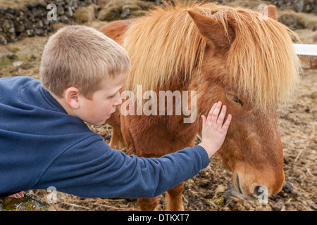Boy Stroking An Icelandic Pony, Iceland Stock Photo