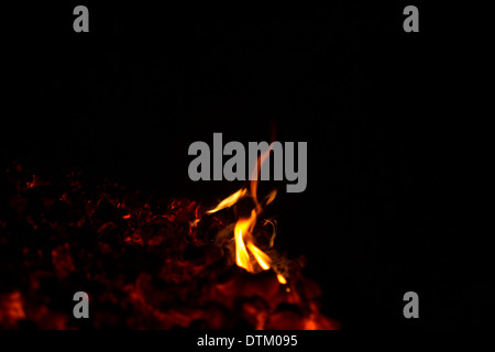 flames from the coals on a black background Stock Photo