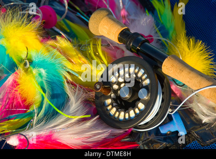 Sport Fishing, Detail of a Colorful array of Saltwater flies, fly rod and reel. USA Stock Photo