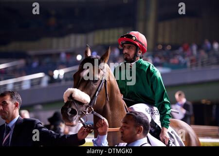 Meydan Racecourse, Dubai, UAE. 20th Feb 2014. Ahmed Ajtebi riding out on Quick Wit for Race 6 of the 7th meeting of the Dubai World Cup Carnival at Meydan Racecourse Credit:  Tom Morgan/Alamy Live News Stock Photo