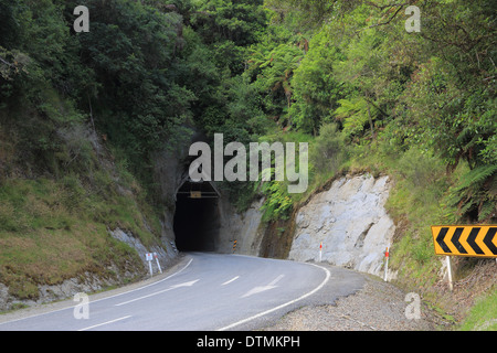 Moki Tunnel part of the Forgotten World Highway (SH 43), Whanganui National Park, North Island, New Zealand