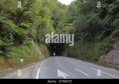 Moki Tunnel part of the Forgotten World Highway (SH 43), Whanganui National Park, North Island, New Zealand