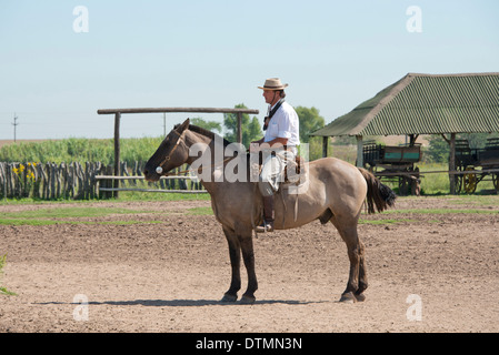 Argentina, Buenos Aires, Estancia Santa Susana. Traditional Argentine Gaucho on ranch horse. Stock Photo