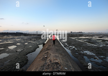 Low tide view of the Bandra Worli Sea Link bridge from the Worli Mahim side. A testament to India's technological development. Stock Photo