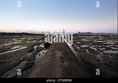 Low tide view of the Bandra Worli Sea Link bridge from the Worli Mahim side. A testament to India's technological development. Stock Photo