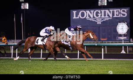 Meydan Racecourse, Dubai, UAE. 20th Feb 2014. Harry Bentley riding Medicean Man during Race 3 during the 7th meeting of the Dubai World Cup Carnival At Meydan Racecourse Credit:  Tom Morgan/Alamy Live News Stock Photo