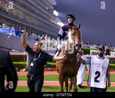 Meydan Racecourse, Dubai, UAE. 20th Feb 2014. Stuart Dobb cheers at the crowd with Harry Bentley Race 3 during the 7th meeting of the Dubai World Cup Carnival At Meydan Racecourse Credit:  Tom Morgan/Alamy Live News Stock Photo