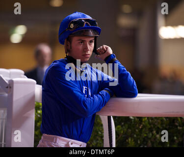 Meydan Racecourse, Dubai, UAE. 20th Feb 2014. Mickael Barzalona rests on the rail in the parade ring before the start of Race 5 of the 7th Meeting of the Dubai World Cup Carnival at Meydan Racecourse Credit:  Tom Morgan/Alamy Live News Stock Photo