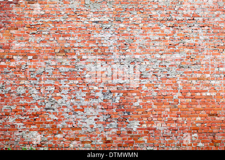 Red brick dirty background. Stock Photo
